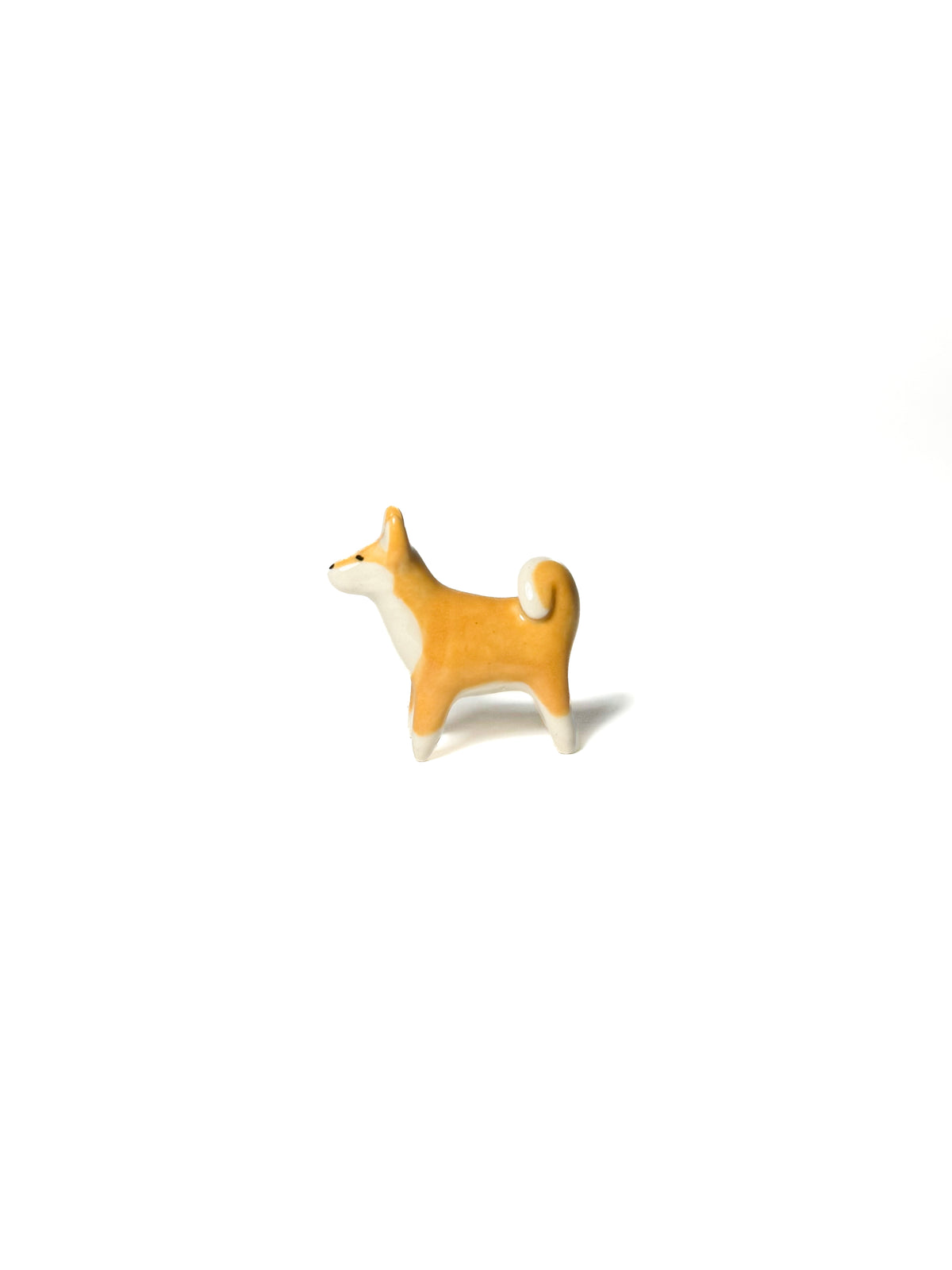 Shiba Inu