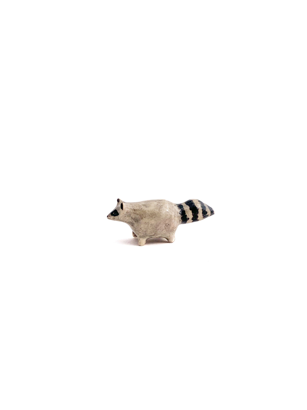 Raccoon