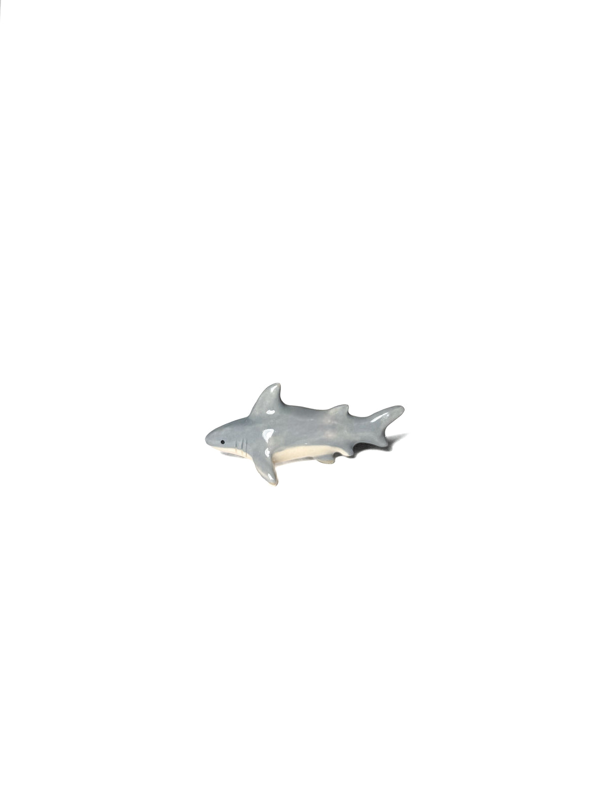 Shark
