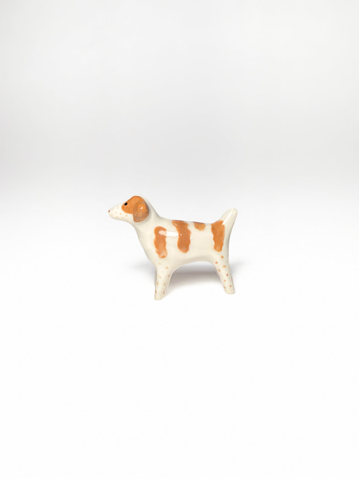 Brittany Spaniel