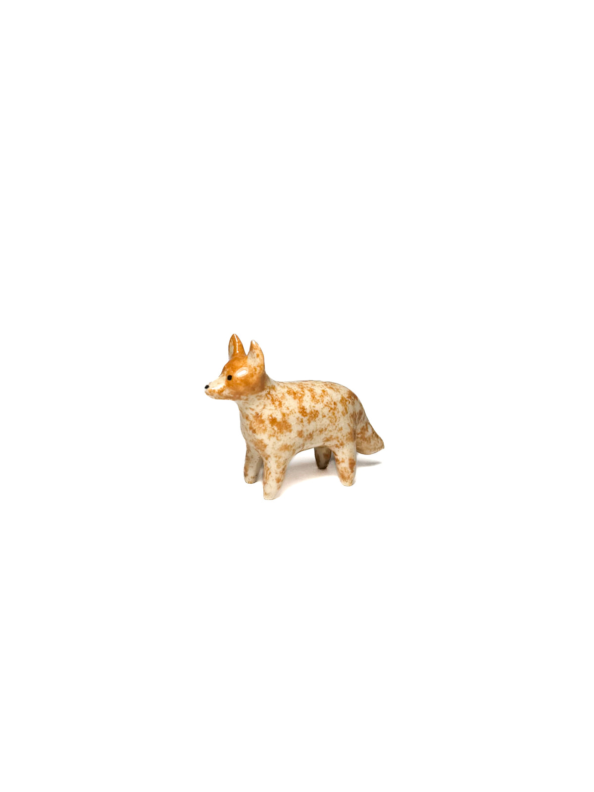 Australian Cattle Dog