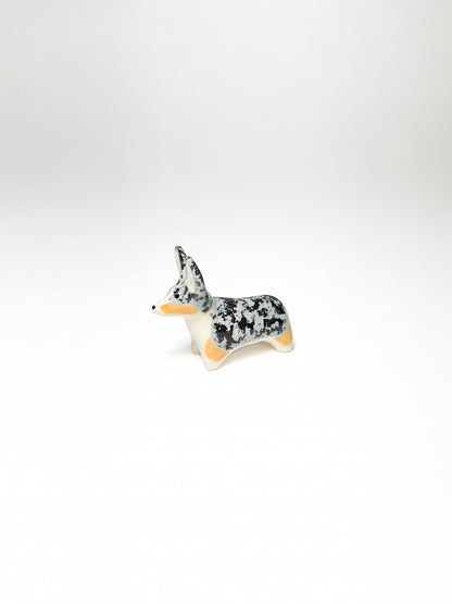Corgi