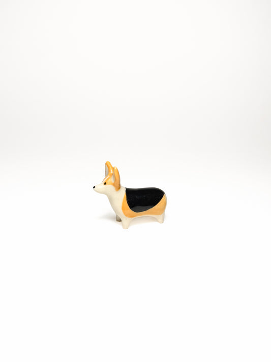 Corgi