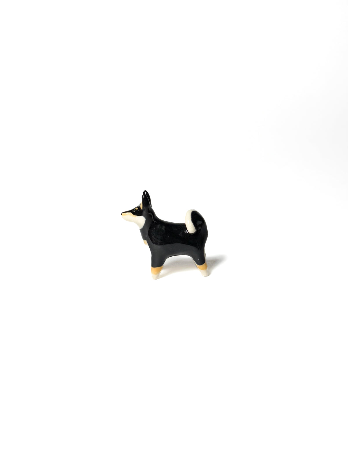 Shiba Inu