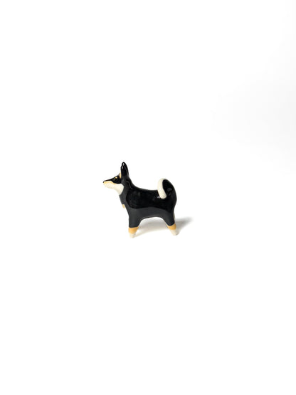 Shiba Inu
