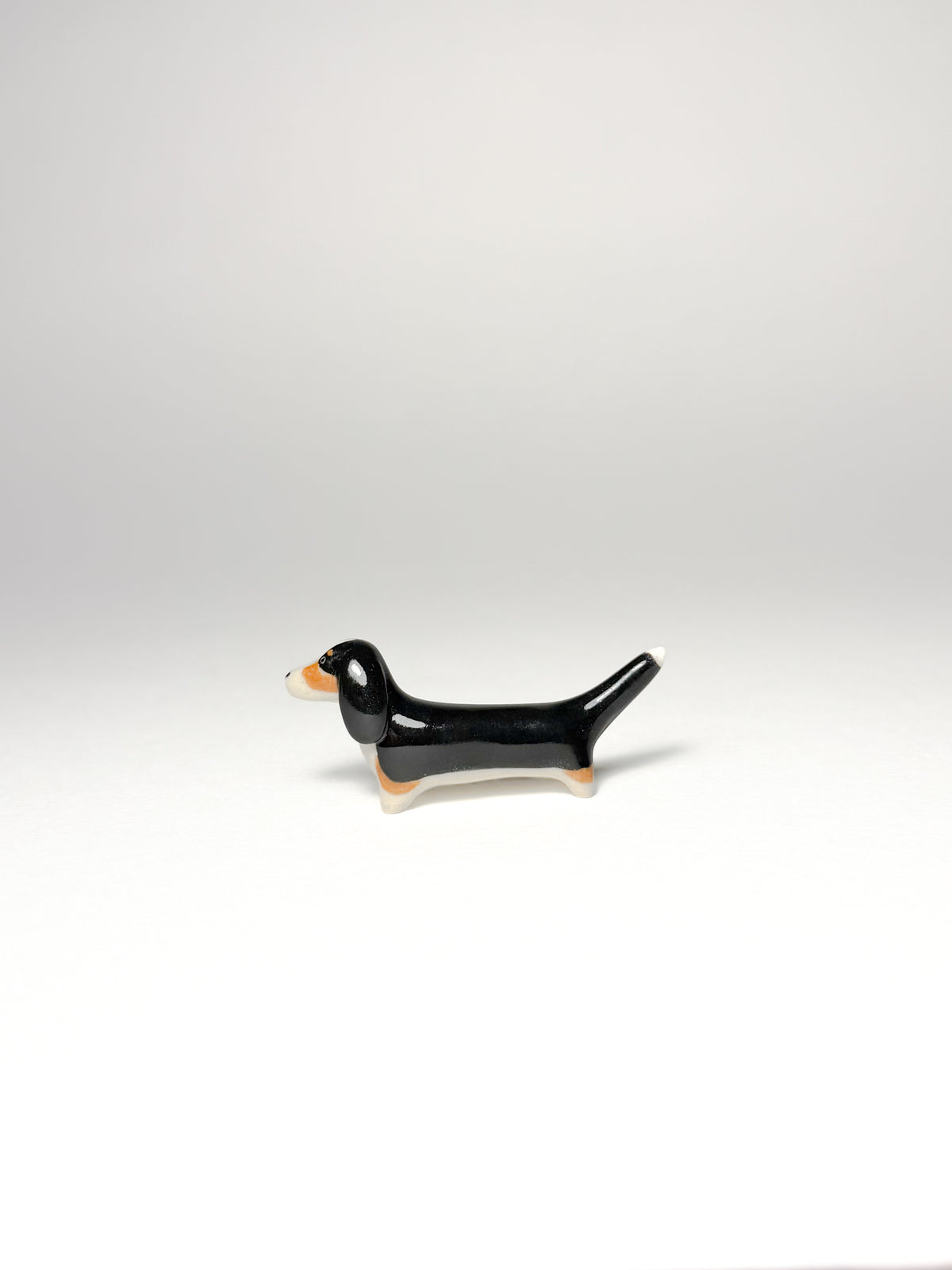 Dachshund