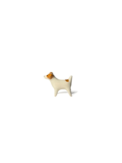 Jack Russell Terrier