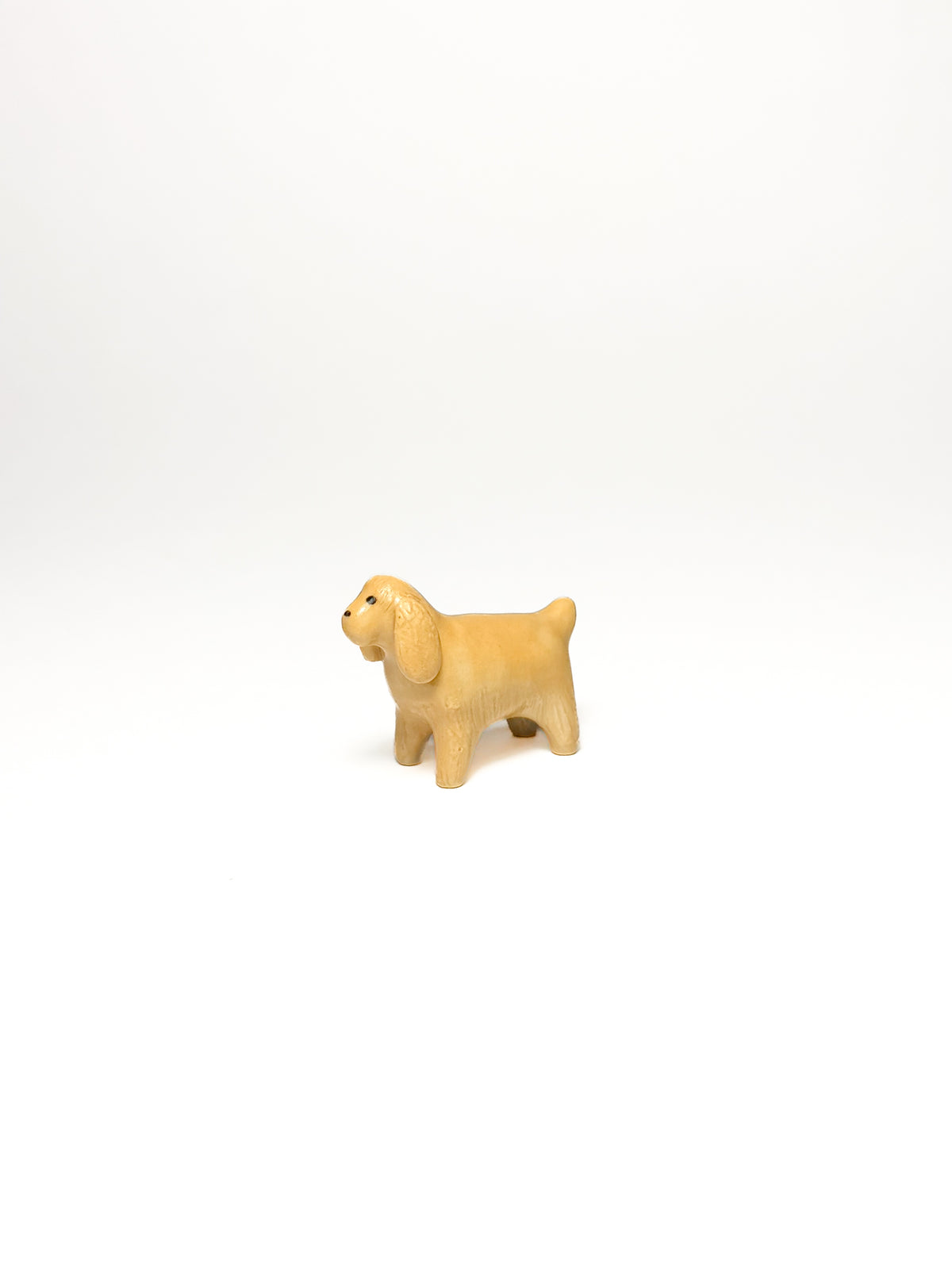 Cocker Spaniel