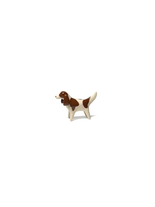 English Springer Spaniel