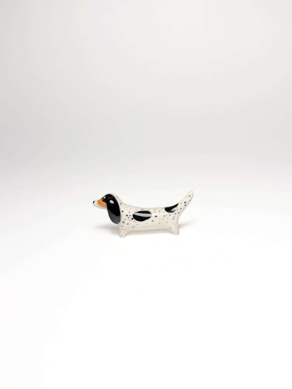 Dachshund