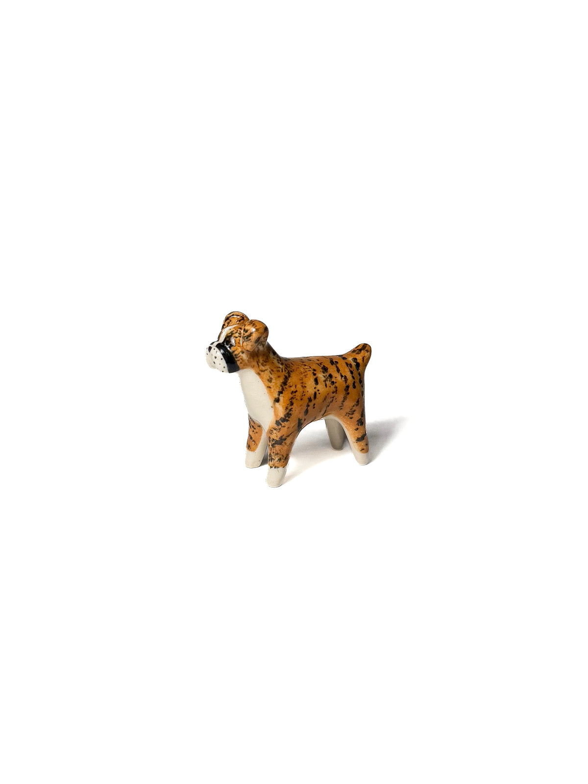 Boxer