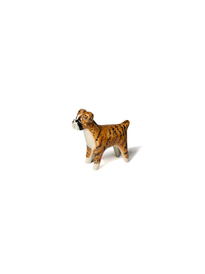 Boxer