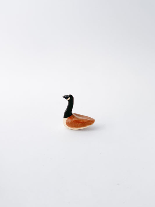 Canada Goose
