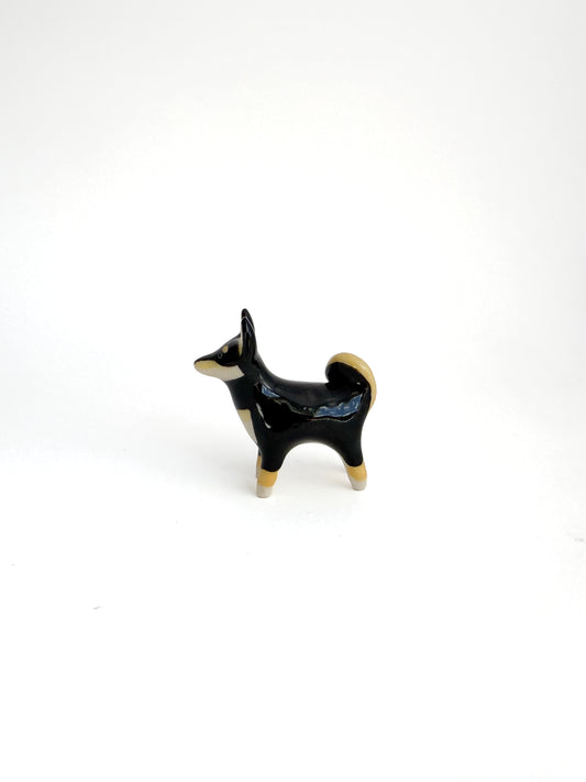 Shiba Inu