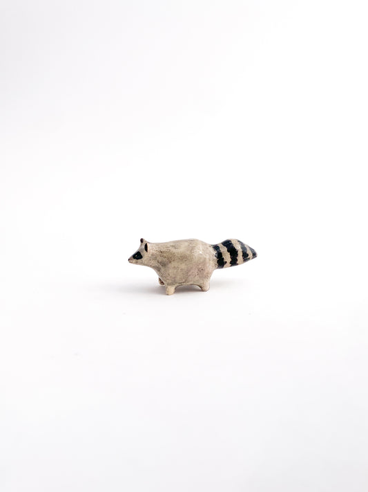 Raccoon