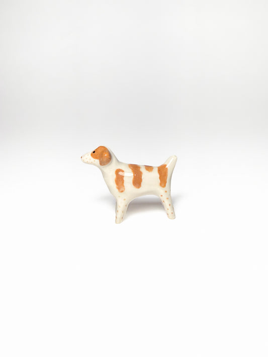Brittany Spaniel
