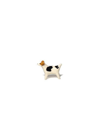 Jack Russell Terrier