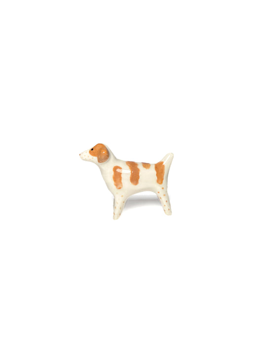 Brittany Spaniel