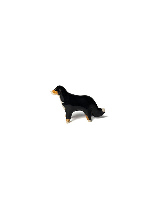 Bernese Mountain Dog