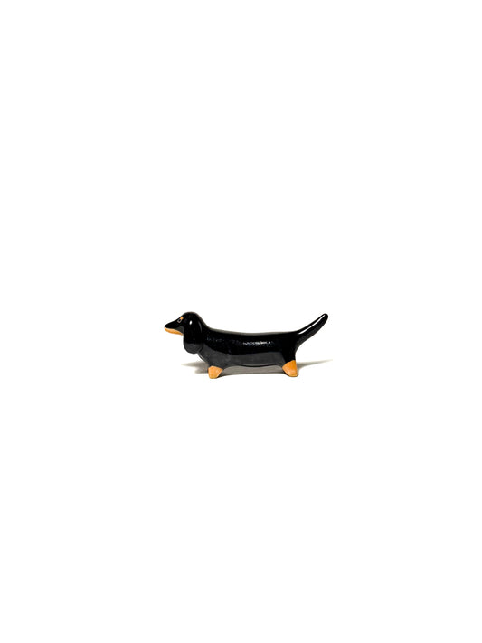 Dachshund