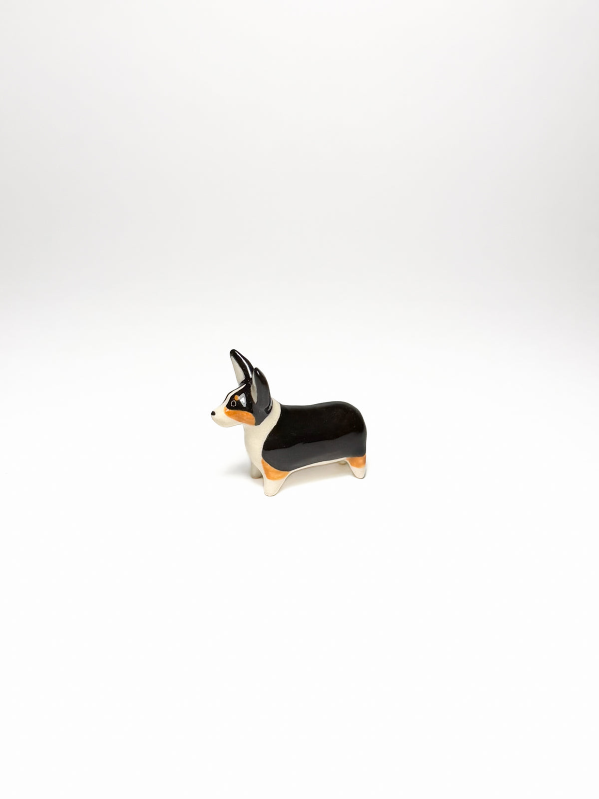 Corgi