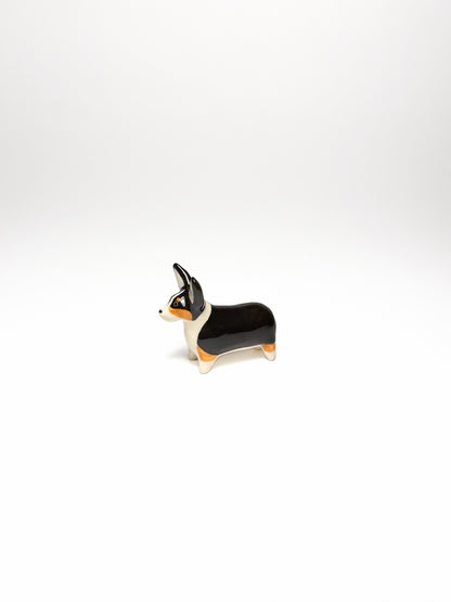 Corgi