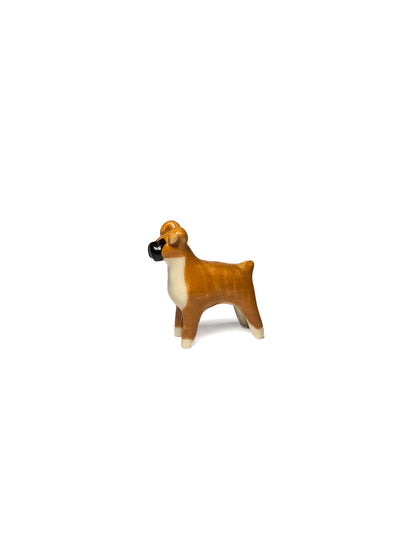 Boxer