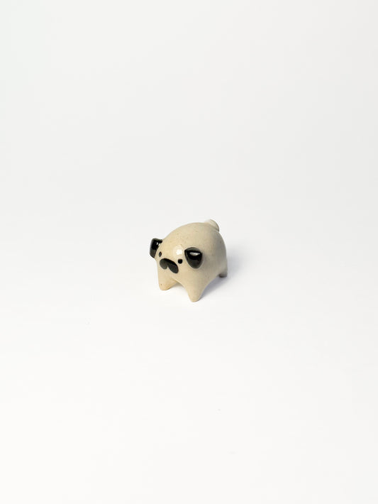 Pug