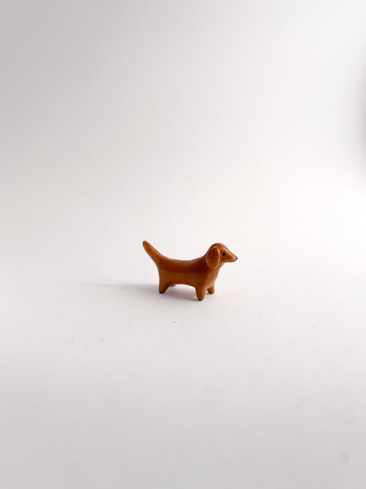 Dachshund