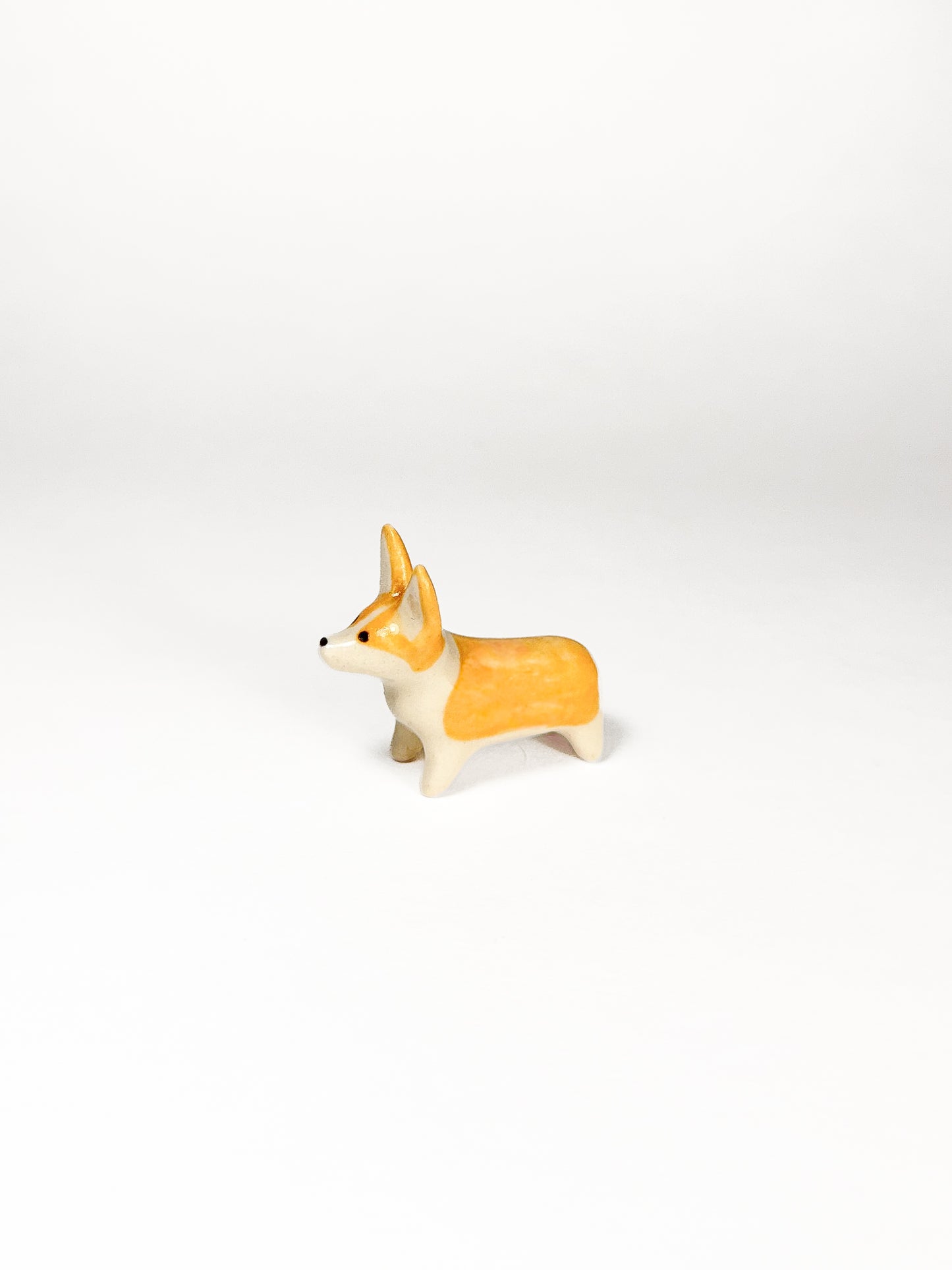 Corgi