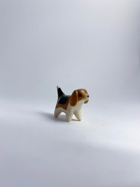 Beagle